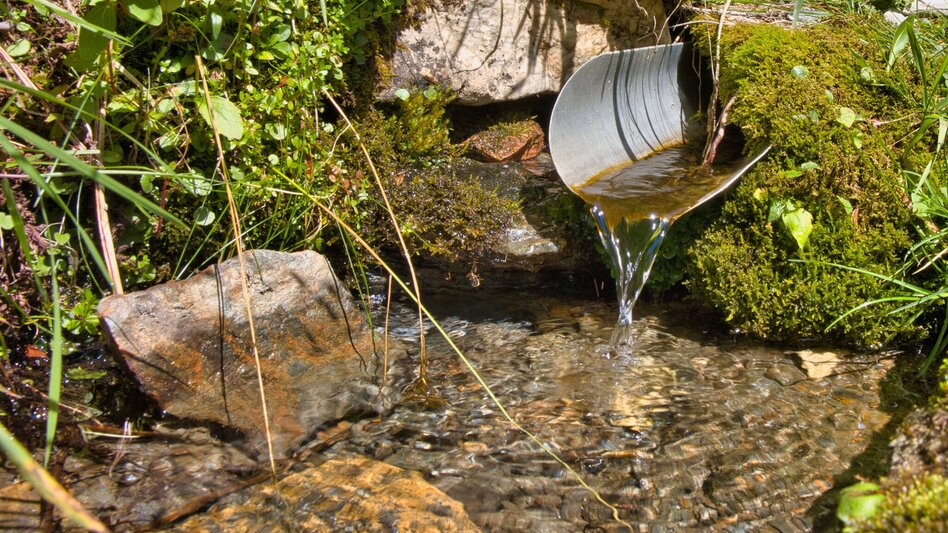 Bergtour Lahnerleitenspitze von Wald am Schoberpaß - Touren-Impression #2.6 | © Weges OG