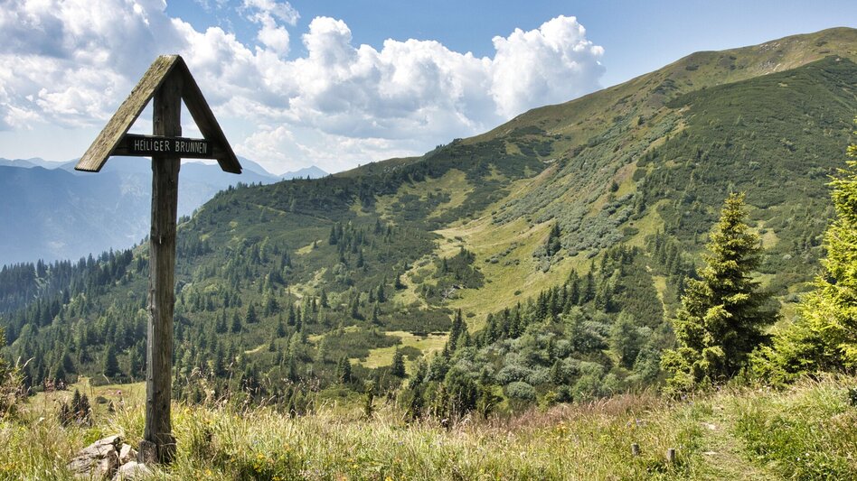Bergtour Lahnerleitenspitze von Wald am Schoberpaß - Touren-Impression #2.7 | © Weges OG