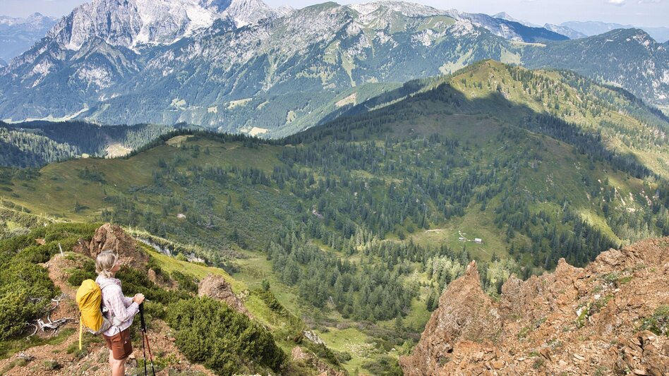 Bergtour Lahnerleitenspitze von Wald am Schoberpaß - Touren-Impression #2.8 | © Weges OG