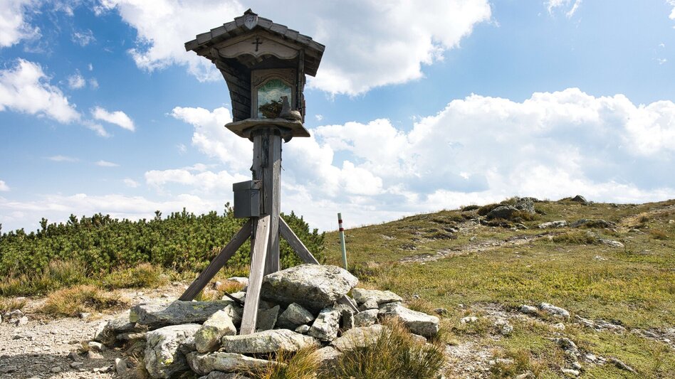 Bergtour Lahnerleitenspitze von Wald am Schoberpaß - Touren-Impression #2.11 | © Weges OG