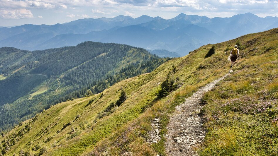 Bergtour Lahnerleitenspitze von Wald am Schoberpaß - Touren-Impression #2.12 | © Weges OG