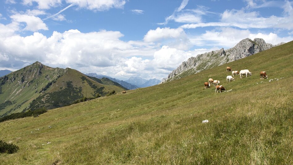 Mountain Hike Hochturm, 2081 m - Touren-Impression #2.9 | © Weges OG