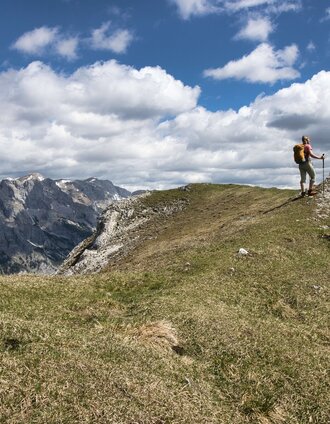 img_2947.jpg | Weges OG | © Weges OG