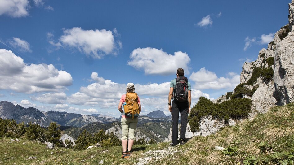 Hiking route Messnerin - Touren-Impression #2.5 | © Weges OG