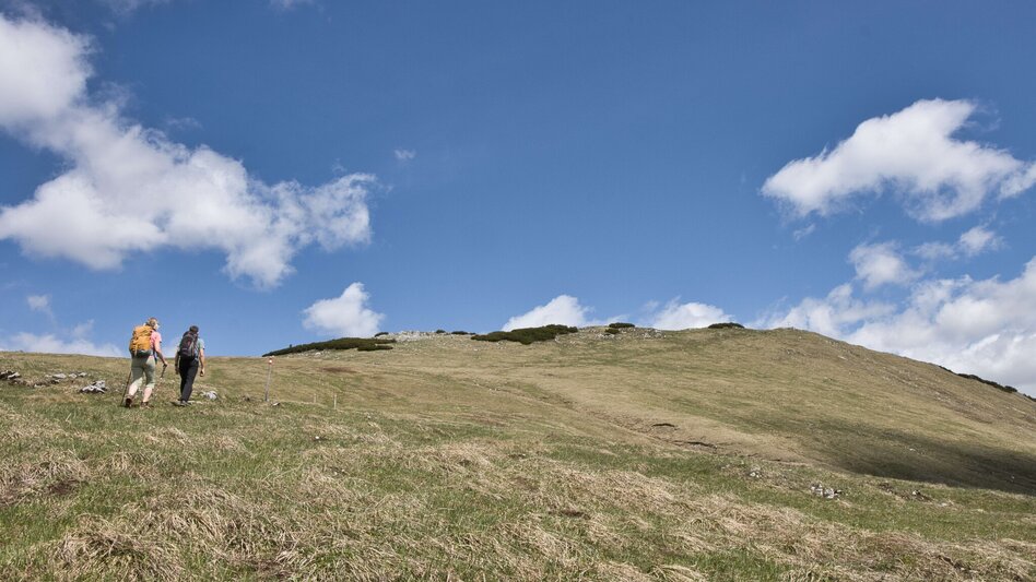 Hiking route Messnerin - Touren-Impression #2.7 | © Weges OG