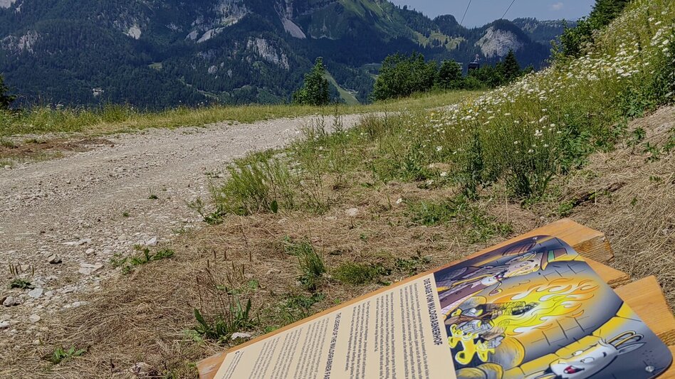 Wanderung Themenweg Loser: Sagenweg Augsti - Touren-Impression #2.5 | © Kulturfux