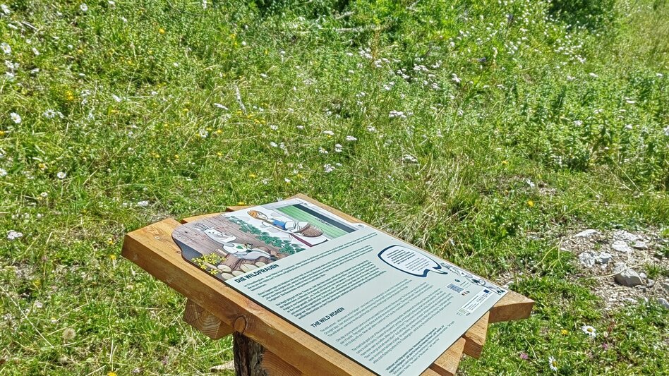 Wanderung Themenweg Loser: Sagenweg Augsti - Touren-Impression #2.8 | © Kulturfux