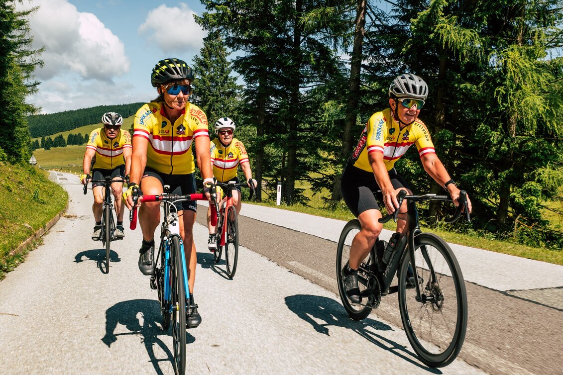 Road Cycling Eibegg-Loop, Pernegg - Touren-Impression #1