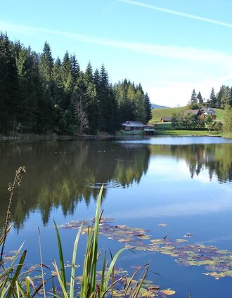 Badesee in Krakaudorf | Tourismusverband Murau | © Julia Puganigg