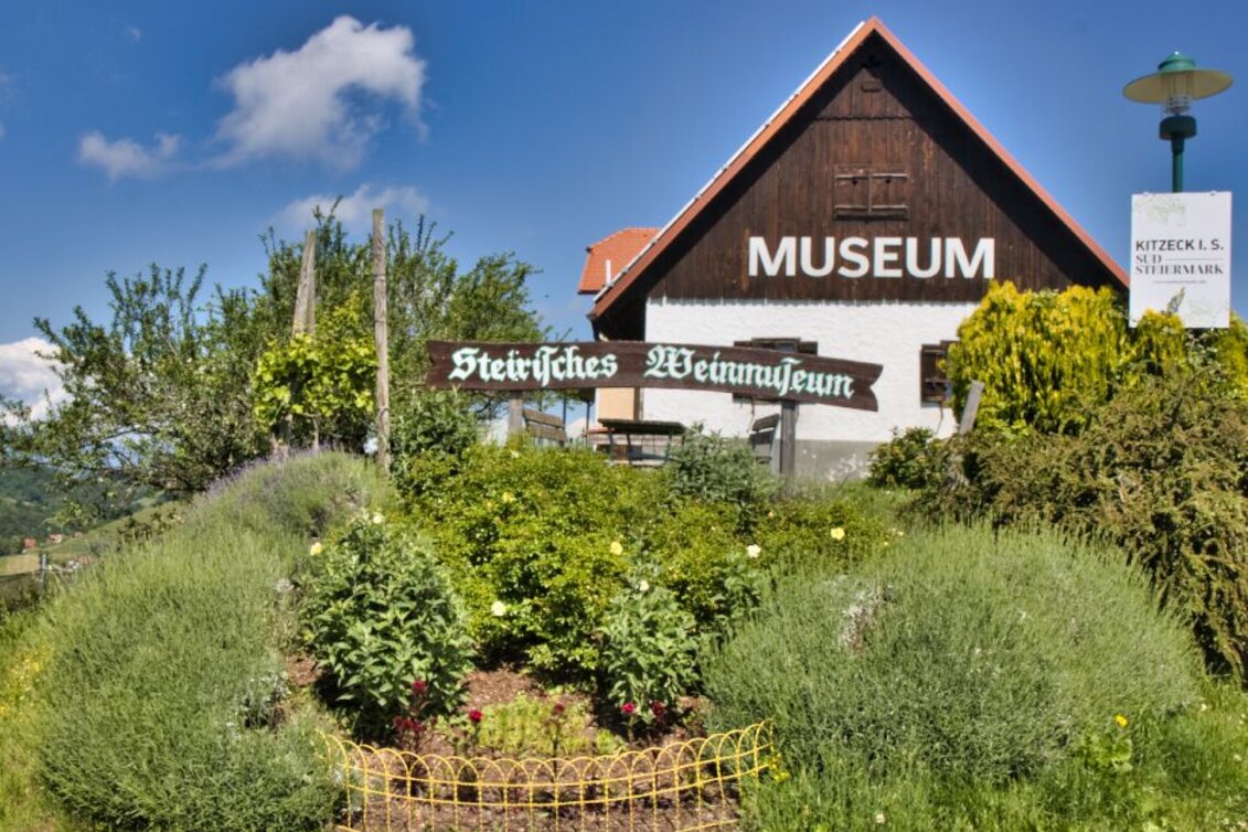 Mountain Biking Panorama Tour (Wies) - a perfect triad - Touren-Impression #1 | © TV Südsteiermark - WEGES