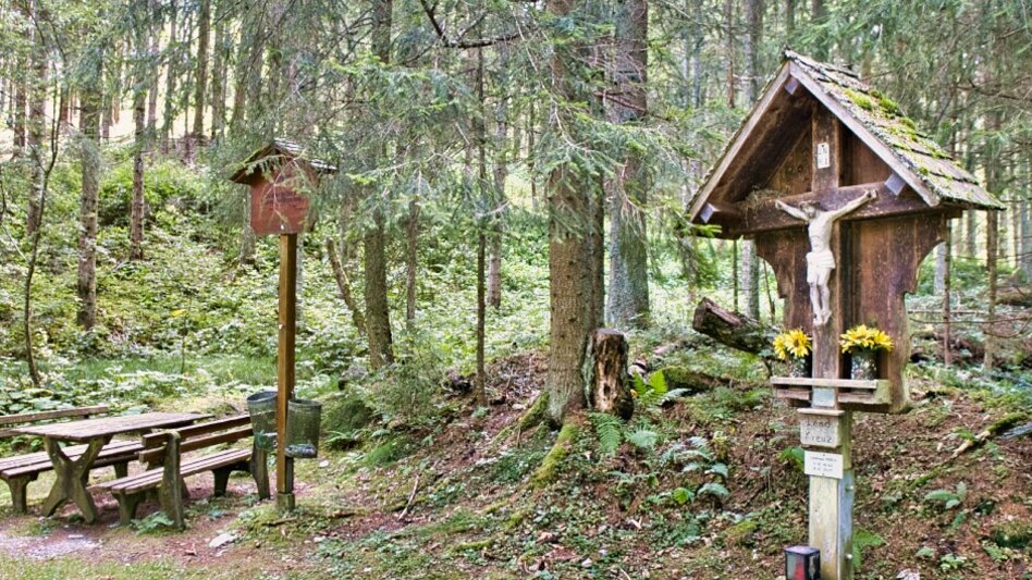 Hiking route BergZeitReise - alternative descend Mitterdorf - Touren-Impression #2.1 | © Tourismusverband Hochsteiermark