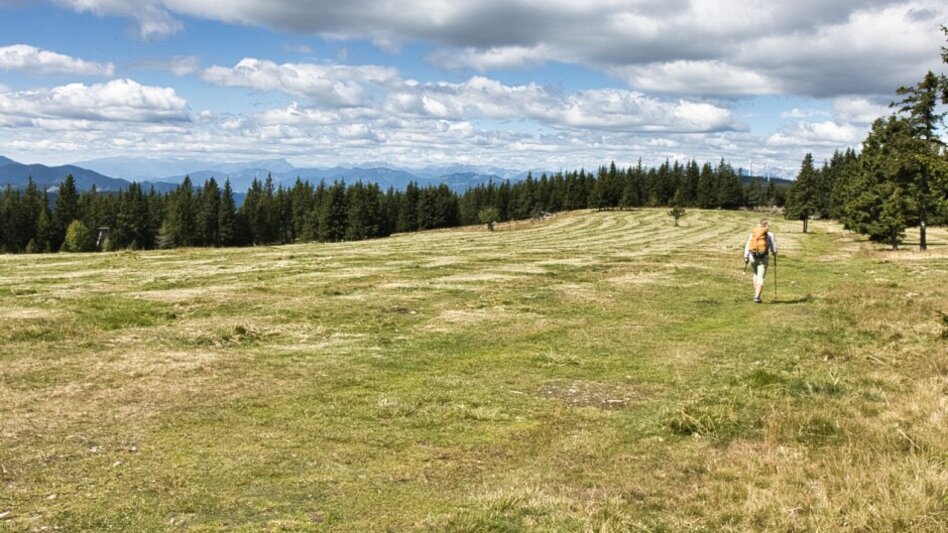 Hiking route BergZeitReise - alternative descend Mitterdorf - Touren-Impression #2.4 | © Tourismusverband Hochsteiermark
