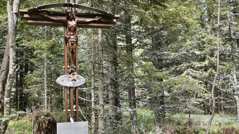 Hiking route BergZeitReise - alternative descend Mitterdorf - Touren-Impression #2.5 | © Tourismusverband Hochsteiermark