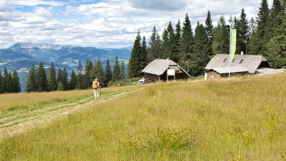 Hiking route BergZeitReise - alternative descend Mitterdorf - Touren-Impression #2.7 | © Tourismusverband Hochsteiermark