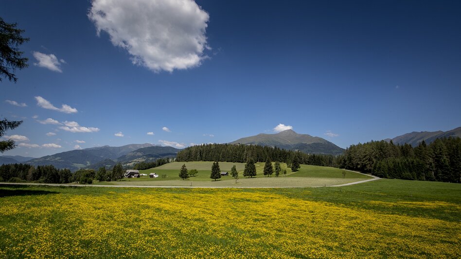 miscellaneousCyclingTour Greimhut - Touren-Impression #2.6 | © TVB Murau