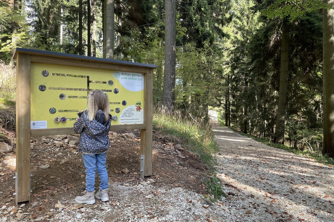 Themen- und Lehrpfad Erlebnisweg Masen.Berg., Pöllauberg - Touren-Impression #1