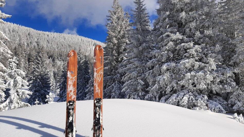 Ski Touring Skitour to Feldl - Touren-Impression #2.1 | © Schachner Bernhard - Marktgemeinde Stainach-Pürgg