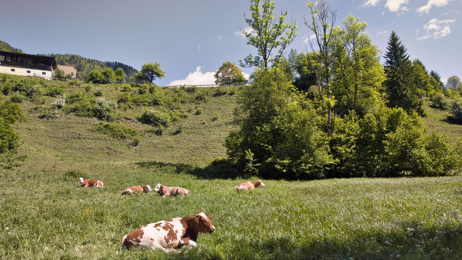 Wanderung Etappe 07 - Wasser: SIEBEN ELEMENTE - der Weg  - Touren-Impression #2.2
