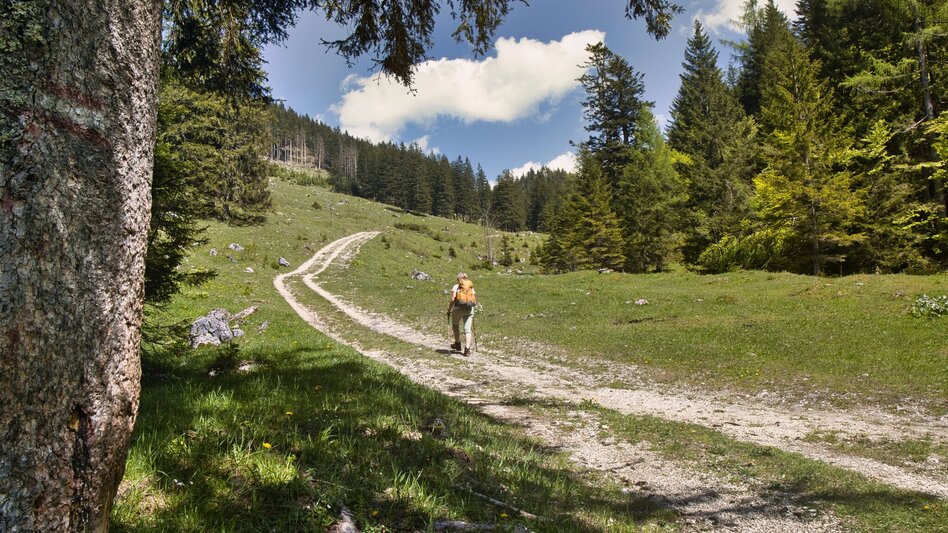 Wanderung Etappe 07 - Wasser: SIEBEN ELEMENTE - der Weg  - Touren-Impression #2.5
