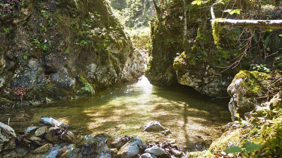 Wanderung Etappe 01 - Mensch: SIEBEN ELEMENTE - der Weg  - Touren-Impression #2.5
