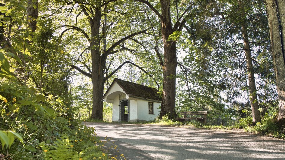 Wanderung Etappe 01 - Mensch: SIEBEN ELEMENTE - der Weg  - Touren-Impression #2.7