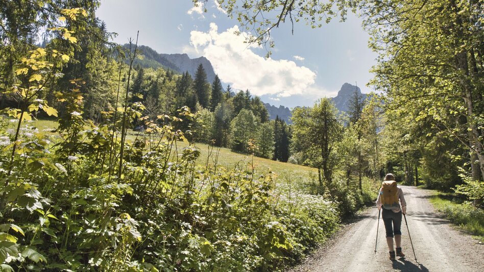 Wanderung Etappe 03 - Geist: SIEBEN ELEMENTE - der Weg  - Touren-Impression #2.6