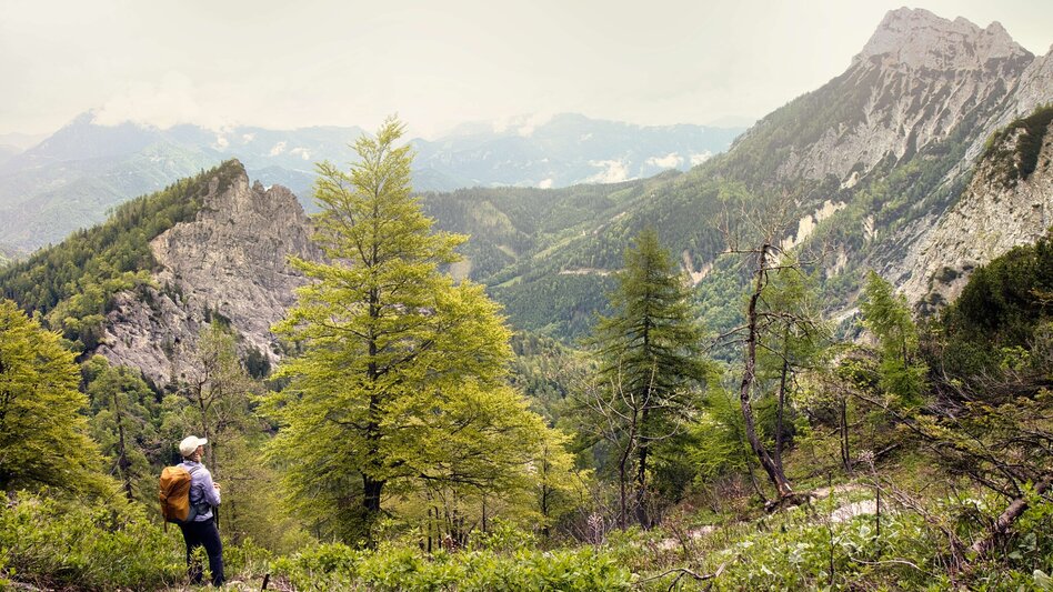 Wanderung Etappe 04 - Luft: SIEBEN ELEMENTE - der Weg  - Touren-Impression #2.6