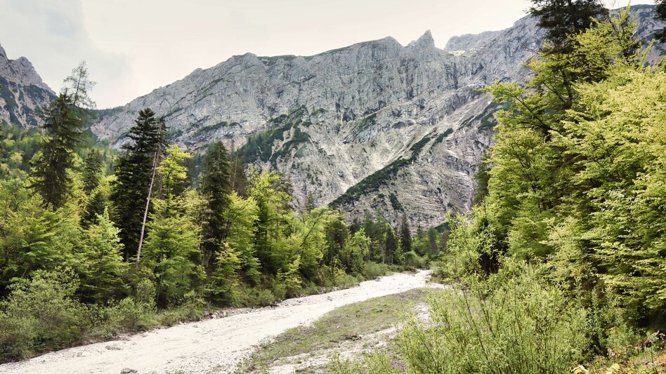 Wanderung Etappe 04 - Luft: SIEBEN ELEMENTE - der Weg  - Touren-Impression #2.7