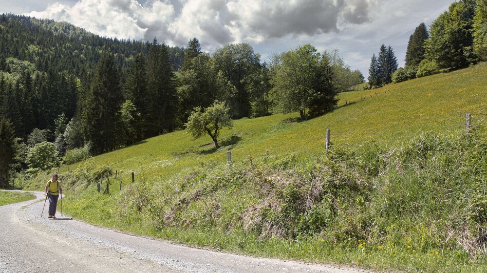 Wanderung Etappe 05 - Feuer: SIEBEN ELEMENTE - der Weg - Touren-Impression #2.5