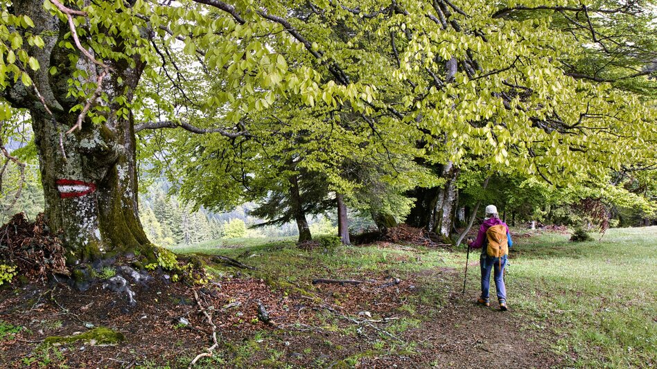 Wanderung Etappe 05 - Feuer: SIEBEN ELEMENTE - der Weg - Touren-Impression #2.7