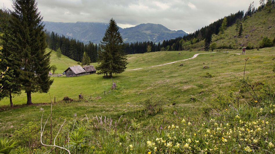 Wanderung Etappe 06 - Erde: SIEBEN ELEMENTE  - der Weg  - Touren-Impression #2.6
