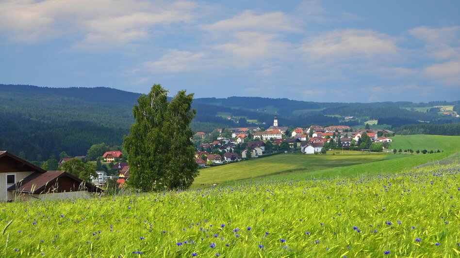 Road Cycling Over the Feistritz Pass into the Bucklige Welt, Ratten - Touren-Impression #2.10 | © Maria Fank
