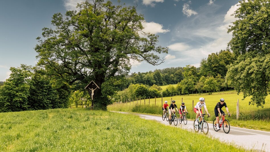 Road Cycling Alpl & Schanzsattel loop, Ratten - Touren-Impression #2.1