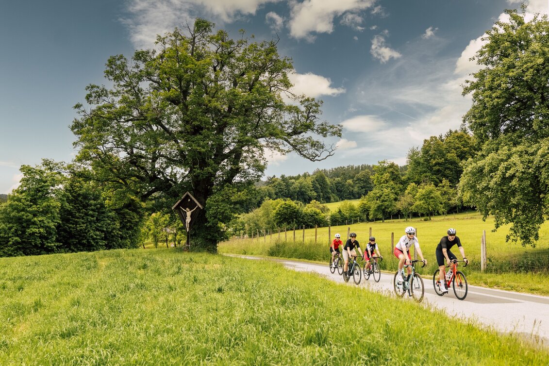 Road Cycling Alpl & Schanzsattel loop, Ratten - Touren-Impression #1
