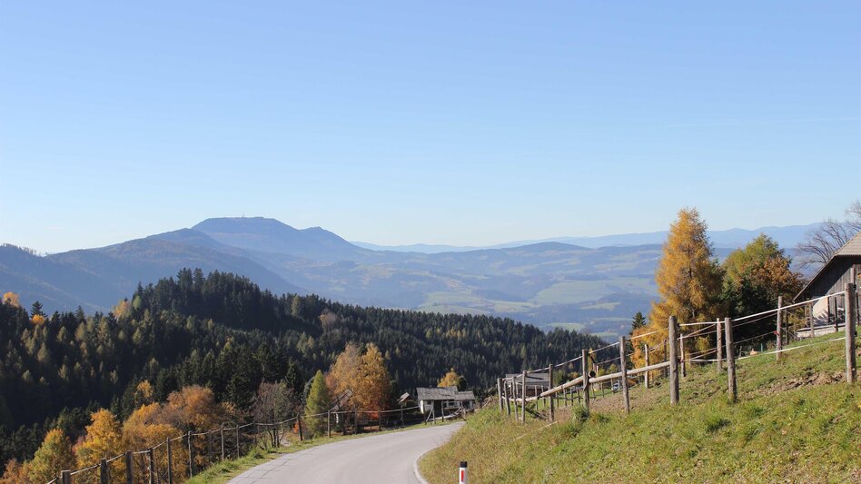 Road Cycling Over the Pfaffensattel pass into the Mürztal valley, Ratten - Touren-Impression #2.8 | © Tourismusverband Oststeiermark