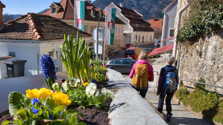 Wanderung Rundweg 4 - Laas  (Frohnleiten in Bewegung) - Touren-Impression #2.3 | © Weges OG