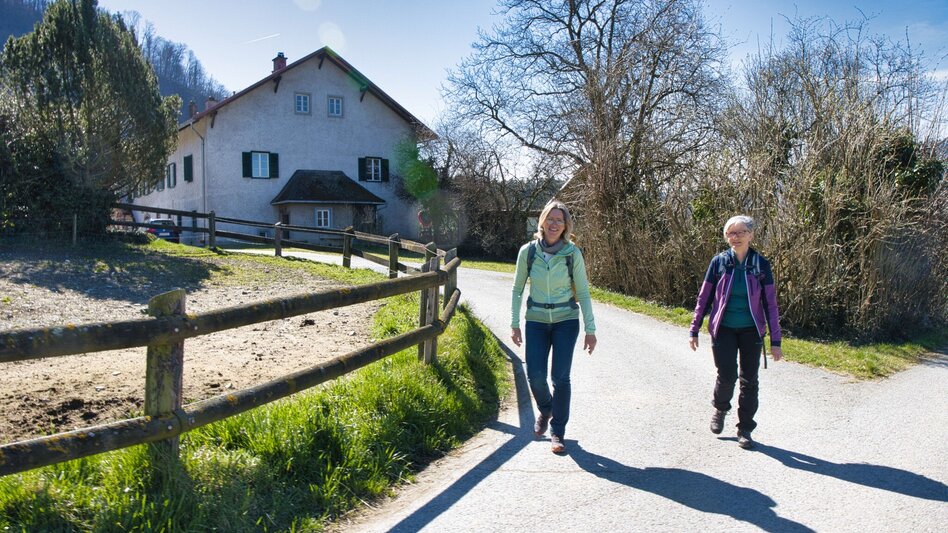 Wanderung Rundweg 4 - Laas  (Frohnleiten in Bewegung) - Touren-Impression #2.7 | © Weges OG