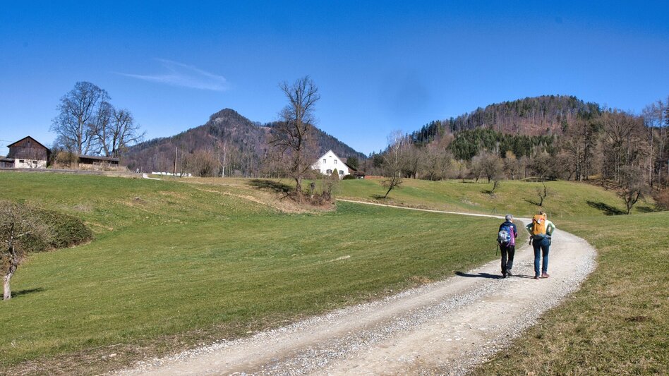 Wanderung Rundweg 4 - Laas  (Frohnleiten in Bewegung) - Touren-Impression #2.8 | © Weges OG