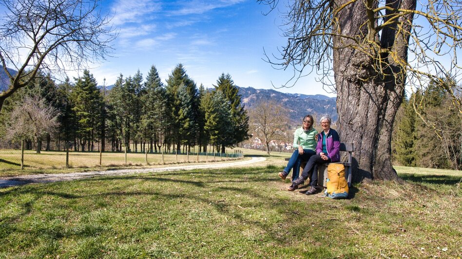 Wanderung Rundweg 4 - Laas  (Frohnleiten in Bewegung) - Touren-Impression #2.9 | © Weges OG