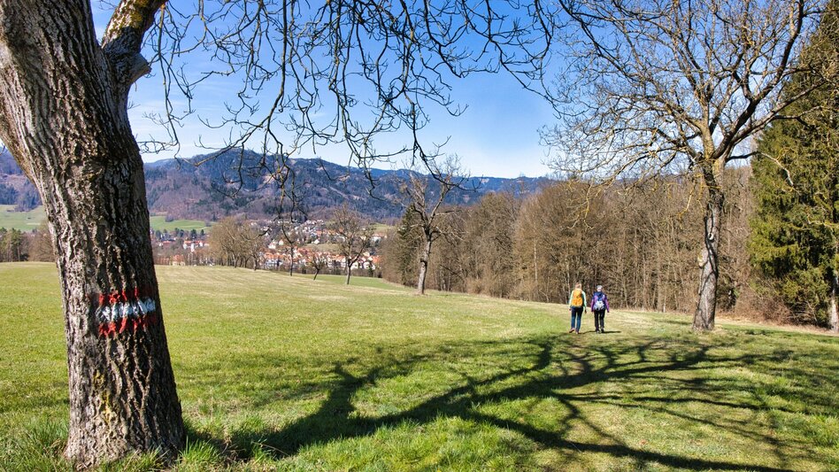 Wanderung Rundweg 4 - Laas  (Frohnleiten in Bewegung) - Touren-Impression #2.10 | © Weges OG
