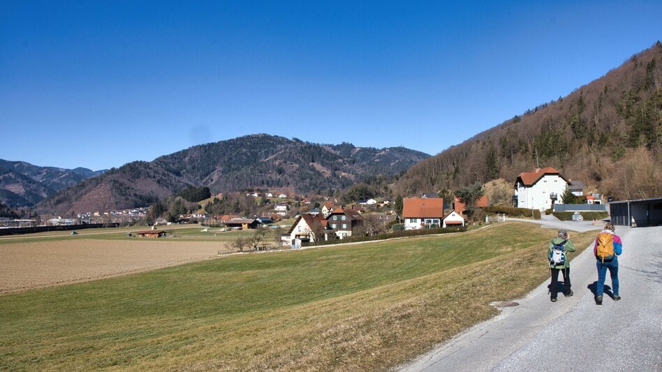 Wanderung Rundweg 7  - Schlöglmoar  (Frohnleiten in Bewegung) - Touren-Impression #2.2 | © Weges OG