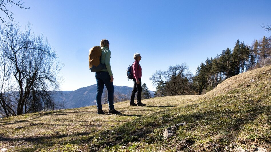 Wanderung Rundweg 7  - Schlöglmoar  (Frohnleiten in Bewegung) - Touren-Impression #2.3 | © Weges OG