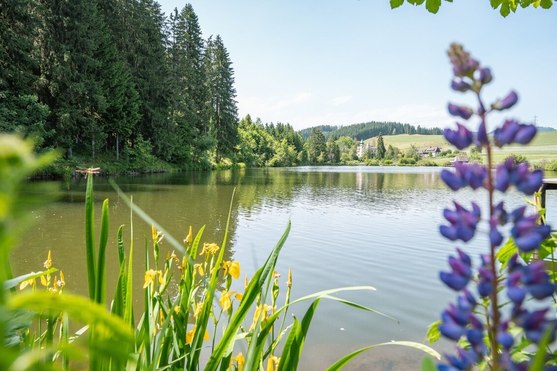 Themen- und Lehrpfad Sagenhafte Landschaften | Zeitspuren Oberdorf - Touren-Impression #1 | © Tourismusverband Murau
