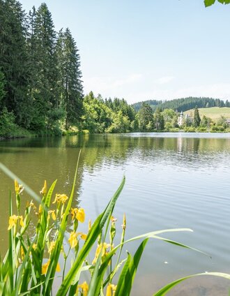 Hasloberteich | René Hochegger | © Tourismusverband Murau