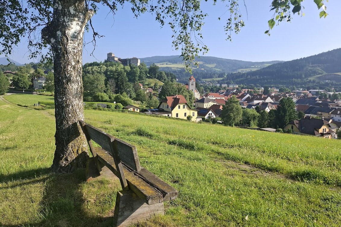Themen- und Lehrpfad Sagenhafte Landschaften | Kelten, Kult und Kirchen - Touren-Impression #1 | © TVB Murau