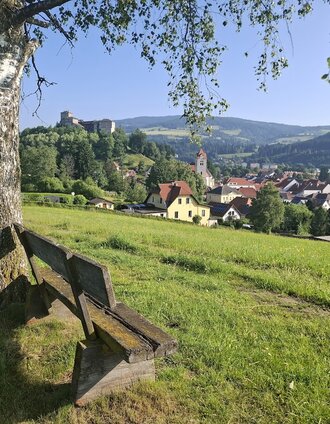 Ausblick auf Schloss Forchtenstein und Neumarkt | HistAK | © TVB Murau