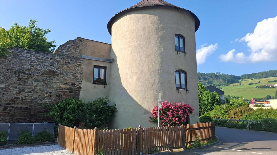 Themen- und Lehrpfad Sagenhafte Landschaften | Geschichte(n) entdecken - Touren-Impression #2.5 | © TVB Murau