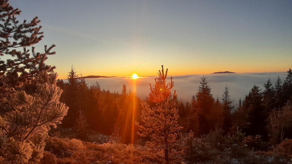 Road Cycling Road bike tour Upper Feistritz Valley - Touren-Impression #2.6 | © Eva Reindl