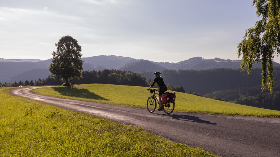 EuroVelo 9 | © (c) Niederösterreich-Werbung/Franziska Consolati