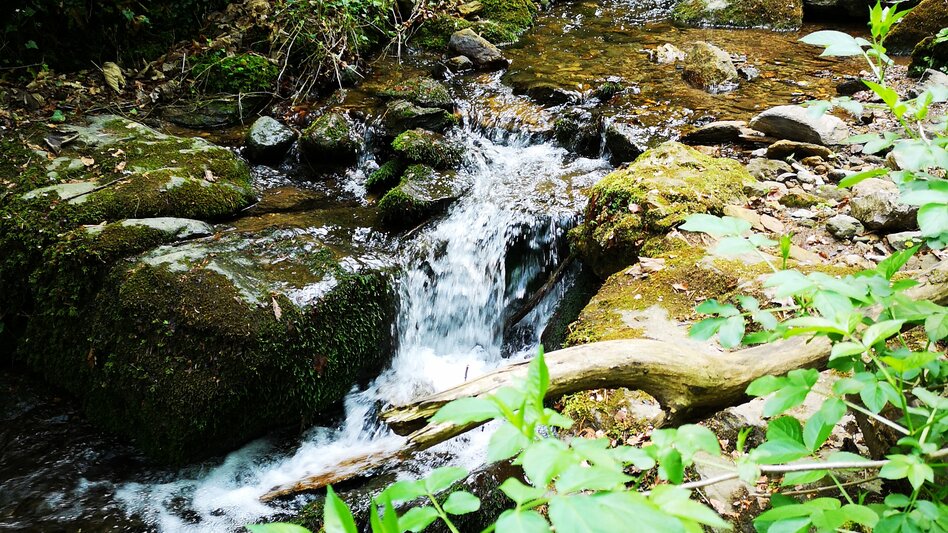 Heiligengeistklamm: Mein Naherholungsgebiet im Sommer und im Winter. - Stephanie Renner | © STG | Stephanie Renner